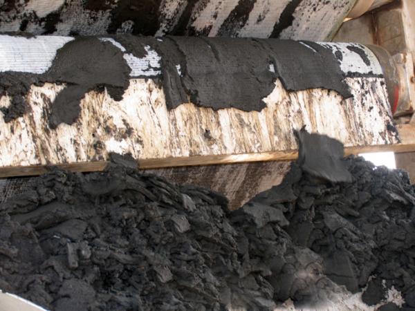 市政污泥在水泥行业的替代原燃料化应用概况